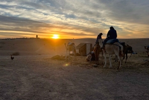 Marrakech: Buggy 1000cc Agafay Desert Adventure with Guide