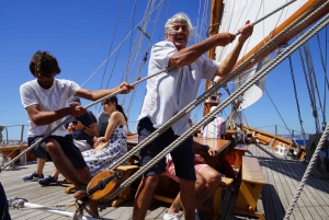 Marseille: Dagstur med seiling i Calanques med lunsj og vin