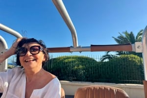 Nice: Kør på Rivieraen i en Defender og oplev Eze