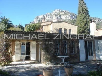 Michael Zingraf Real Estate