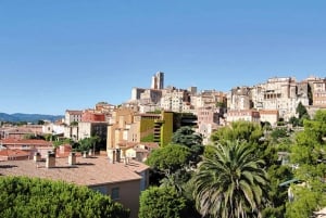 Monaco and Perched Medieval Villages Day Tour from Nice