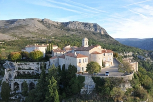 Monaco and Perched Medieval Villages Day Tour from Nice