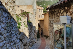 Excursão particular de 1 dia a Mônaco e Eze saindo de Villefranche sur Mer