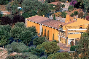 Monaco: privétour naar Eze, Monte Carlo en Monaco