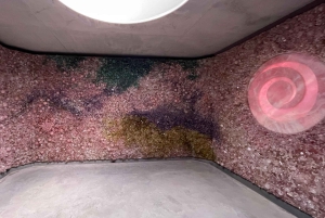 Monaco majesty: private tailor-made tour from nice