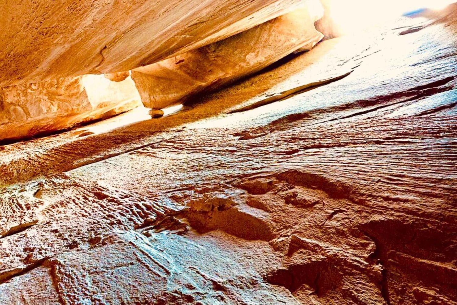 Bergtrein ervaring: Wandeling & Mystic Forest (Vanuit Nice)