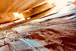 Bergtrein ervaring: Wandeling & Mystic Forest (Vanuit Nice)