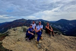 Bergtrein ervaring: Wandeling & Mystic Forest (Vanuit Nice)