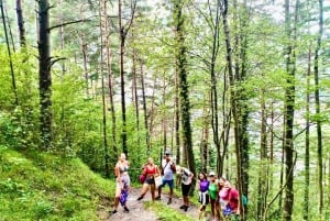 Bergtrein ervaring: Wandeling & Mystic Forest (Vanuit Nice)