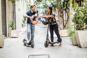 Nizza: tour panoramico in scooter elettrico di 1h30