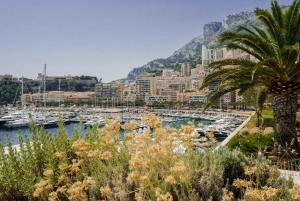 Nice: 2 uur durende beste wandeltour met een local