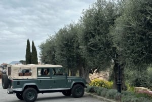 Niza: excursión en 4x4 al pueblo de Èze con visita a la fábrica de perfumes Fragonard
