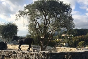 Nice: A Day in the Countryside from Glamour to Authenticity