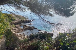 Nice: A Day in the Countryside from Glamour to Authenticity