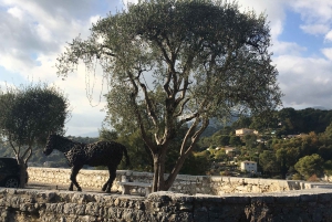 Nice: En dag på landet fra glamour til autentisitet