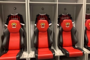 Nice: Allianz Stadium Tour and National Sports Museum FR