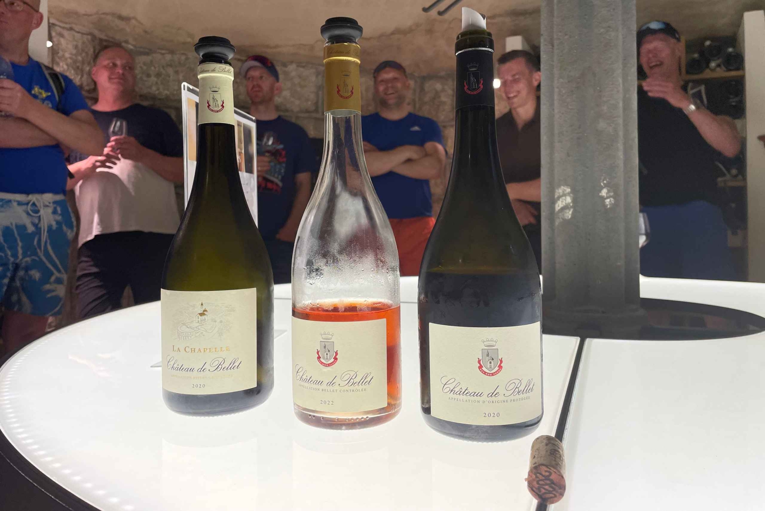 Ницца: тур на электронном велосипеде по виноградникам Белле с дегустацией вин