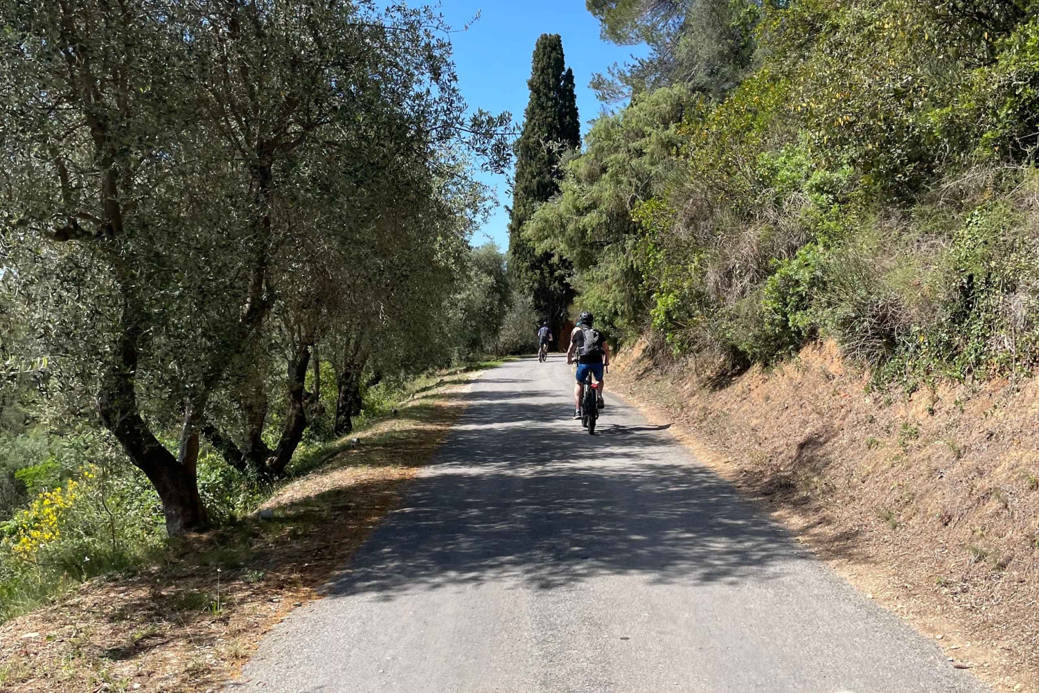 Ницца: тур на электронном велосипеде по виноградникам Белле с дегустацией вин