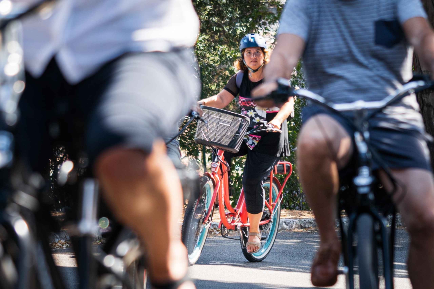 Ницца: тур на электронном велосипеде по виноградникам Белле с дегустацией вин