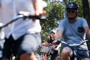 Nizza: Tour in bicicletta dei vigneti Bellet con degustazione di vini