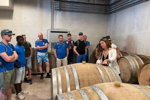 Nizza: Bellet Vineyards E-Bike Tour ja viininmaistelu