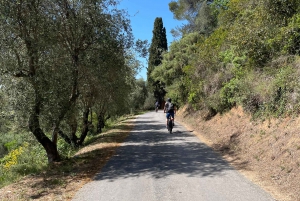 Niza: Visita en bicicleta eléctrica a los viñedos de Bellet con cata de vinos