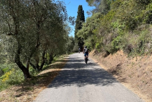 Ницца: тур на электронном велосипеде по виноградникам Белле с дегустацией вин