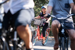 Ницца: тур на электронном велосипеде по виноградникам Белле с дегустацией вин