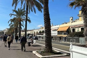 NIZZA IN QUAD ELETTRICO: tour panoramico da Nizza