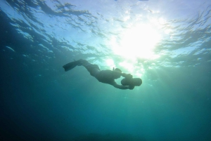 ニース、カップ・ダイユ：シースクーターシュノーケリングツアー