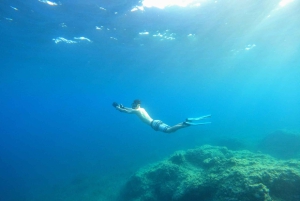 ニース、カップ・ダイユ：シースクーターシュノーケリングツアー