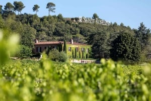Nice: Château de Cremat and Château Sainte Roseline Day Trip