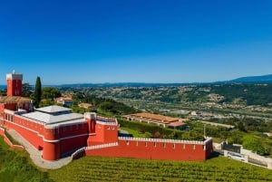 Nice: Château de Cremat and Château Sainte Roseline Day Trip