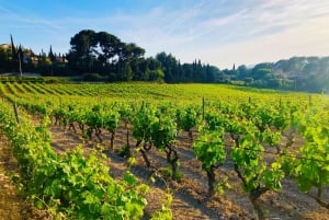 Nizza, Villefranche sur Mer e degustazione di vino