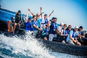 Nizza: Bootstour entlang der Küste nach Monaco