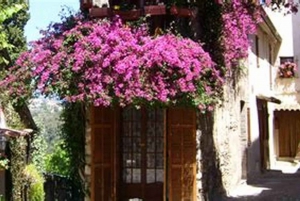Nice: Countryside Tour with Grasse
