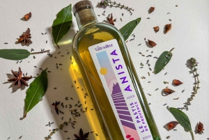 Nizza: Tee oma gini mestaritislaajan kanssa – 2 henkilöä