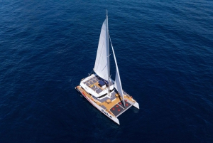 Nice : Dinner at Sea on a Maxi Catamaran - Villefranche, Cap Ferrat