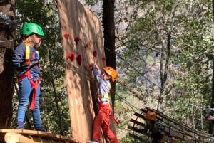 Nice: ontdek boomklimmen voor kinderen in een natuurlijke omgeving