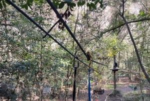 Nice: ontdek boomklimmen voor kinderen in een natuurlijke omgeving