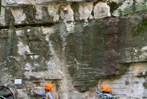 Nice: ontdek boomklimmen voor kinderen in een natuurlijke omgeving