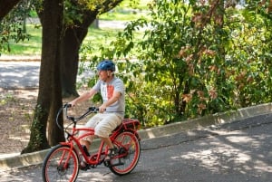 Nicea: Wycieczka po mieście na rowerze elektrycznym