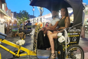 Nicea: wycieczka po mieście elektryczną rikszą z lokalnym przewodnikiem