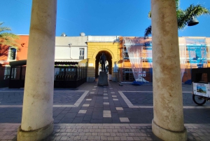 Nicea: wycieczka po mieście elektryczną rikszą z lokalnym przewodnikiem