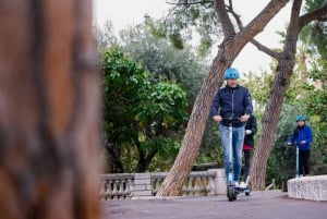 Nice: Udlejning af elektriske scootere
