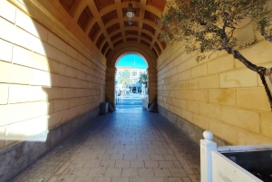 Nizza: Familien-City-Tour mit dem Fahrrad Elektrotaxi (4 Komfortsitze)