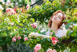 Nice, Frankrijk: Individuele fotowandeling in Nice