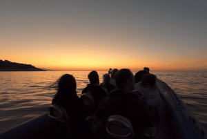 Nizza: Bootsfahrt bei Sonnenuntergang an der französischen Riviera