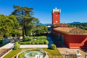 Nizza: Koko päivän yksityinen viinikierros (Cremat ja paljon muuta)