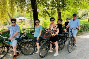 Niza Recorrido guiado en bicicleta eléctrica con la Colina del Castillo